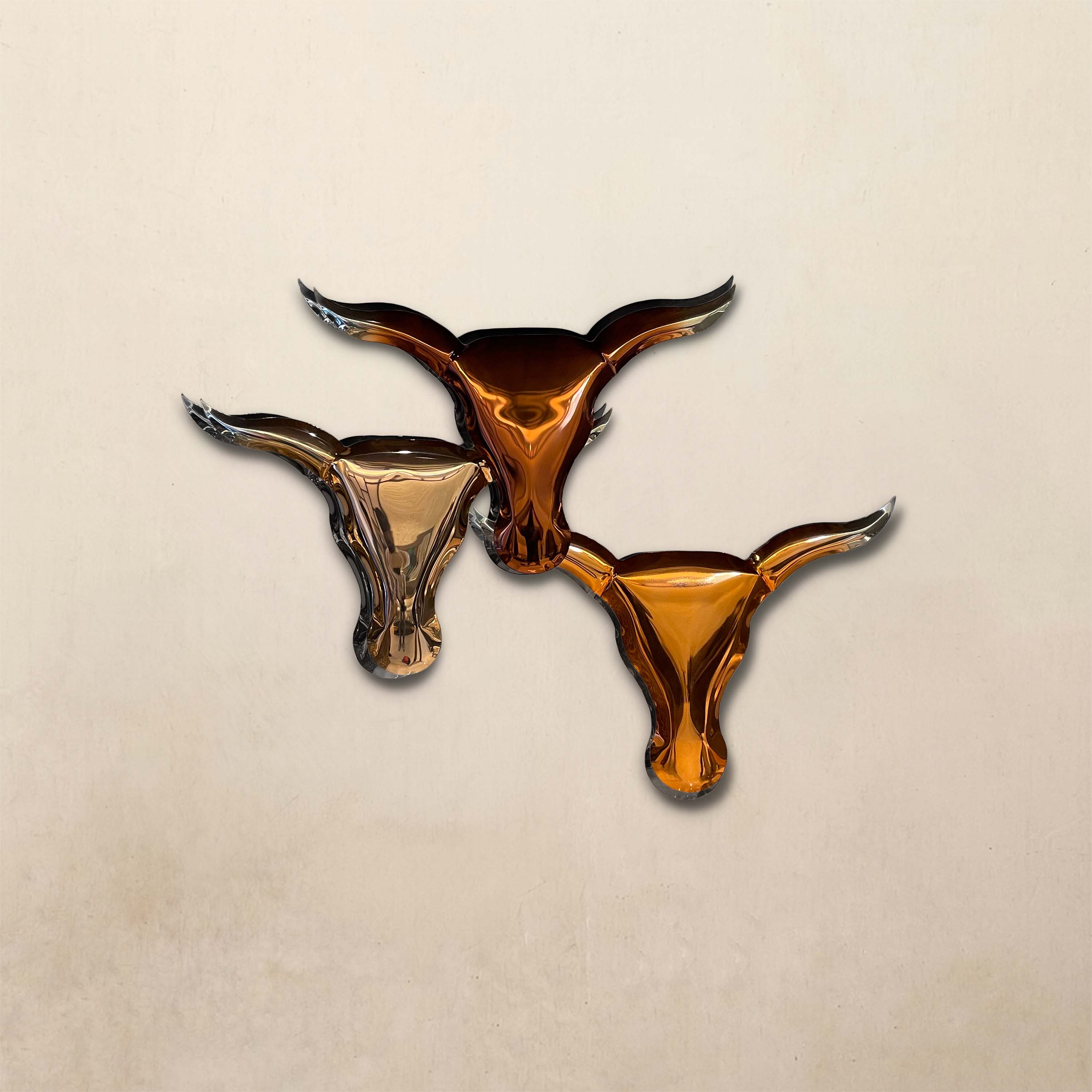 Toros heads
