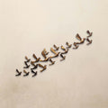 Flying doves