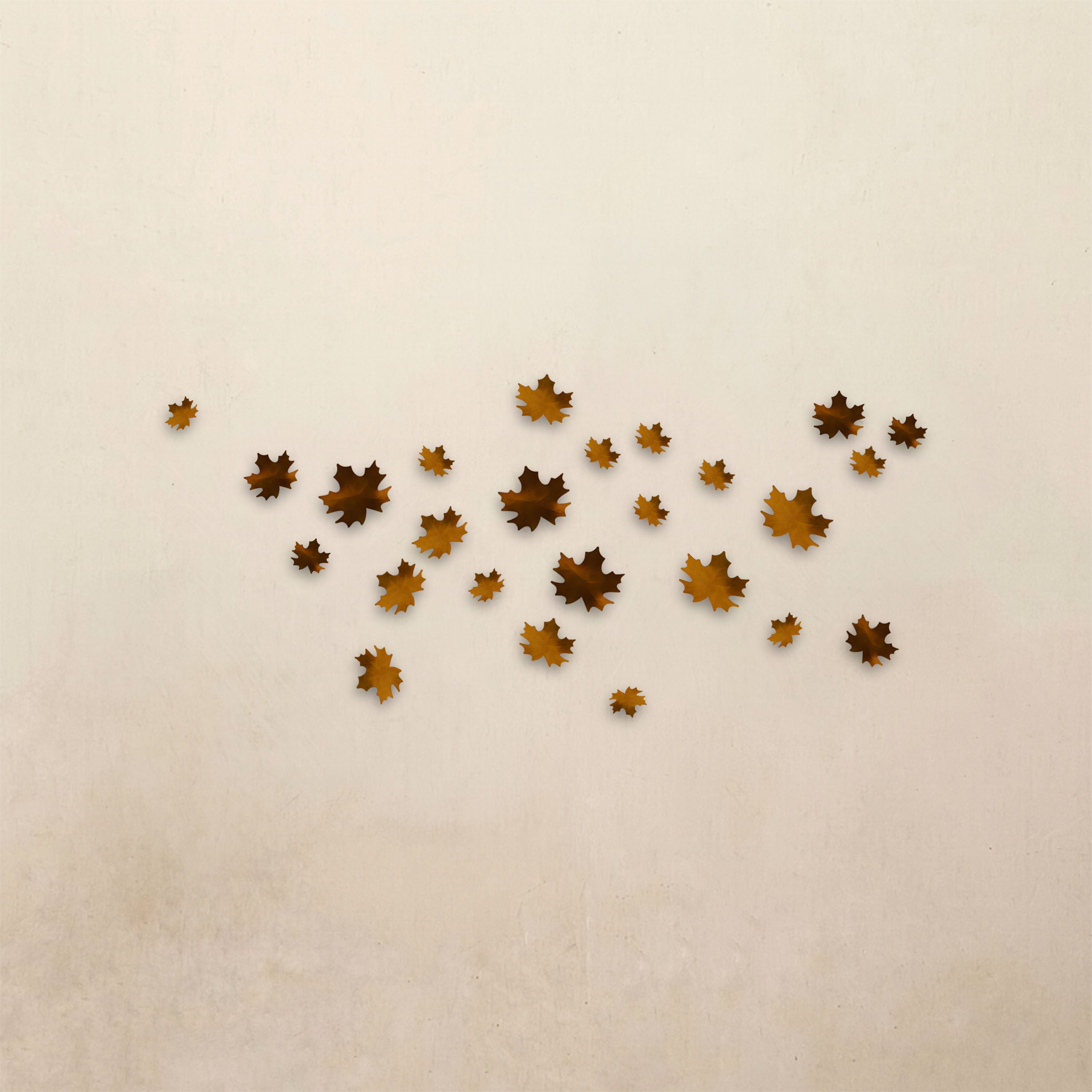 Maple Leaves