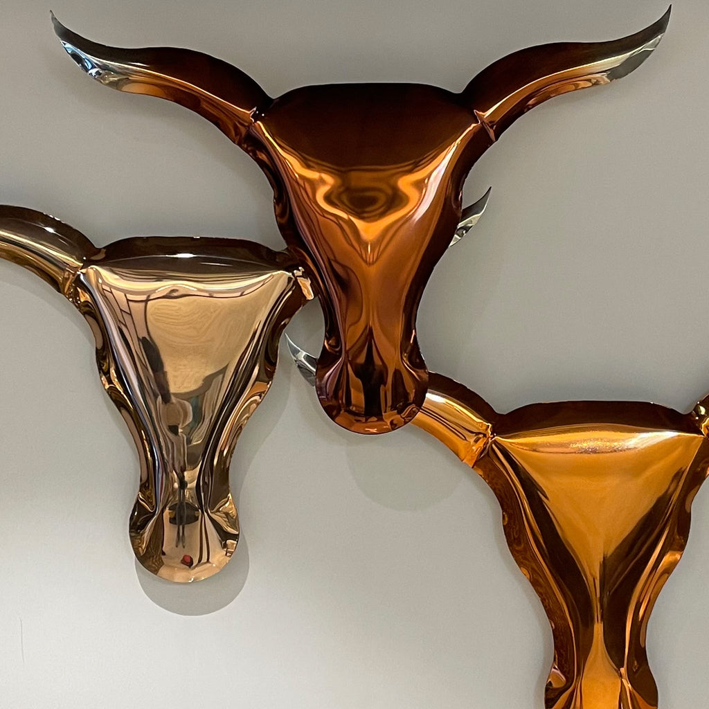 Toros heads