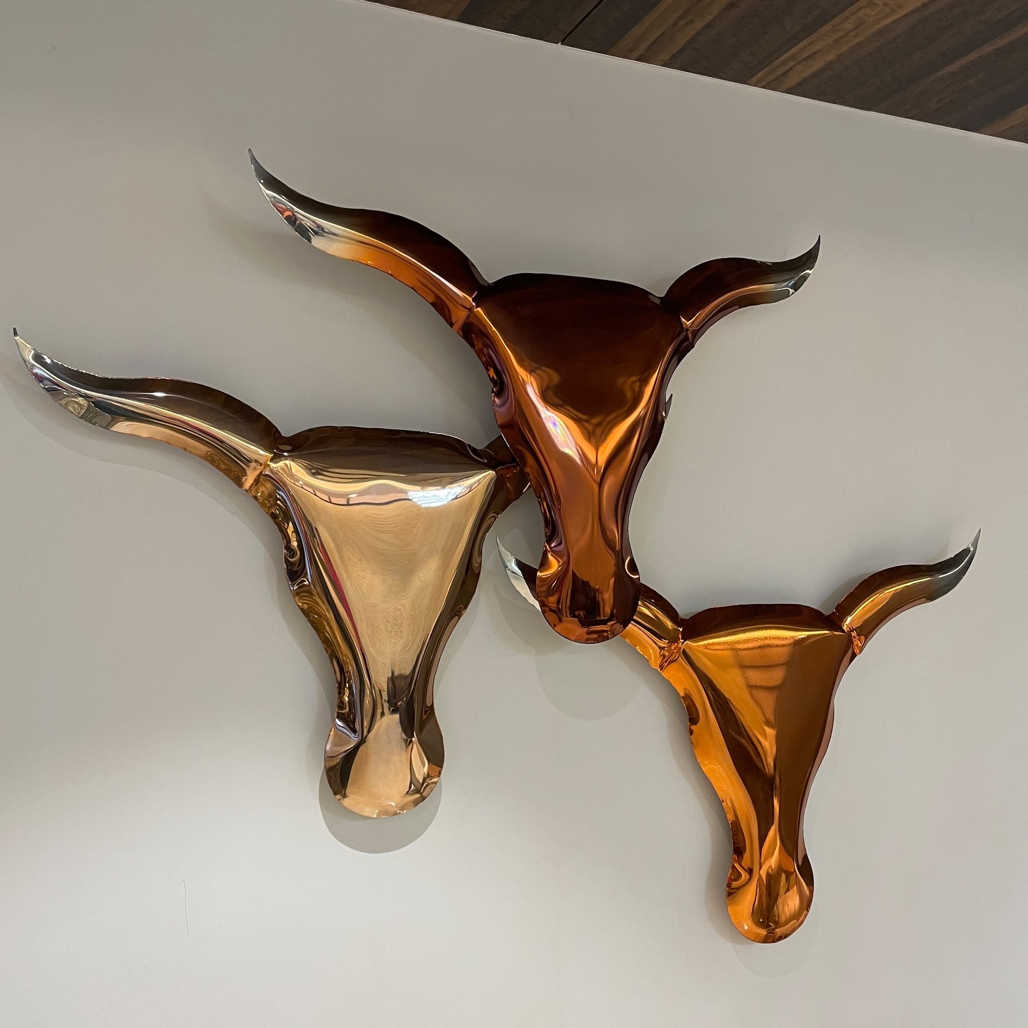 Toros heads